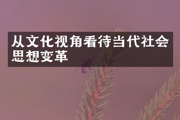 从文化视角看待当代社会思想变革