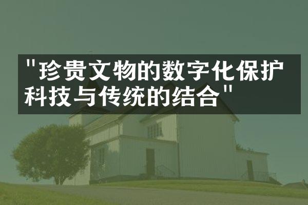 "珍贵文物的数字化保护：科技与传统的结合"