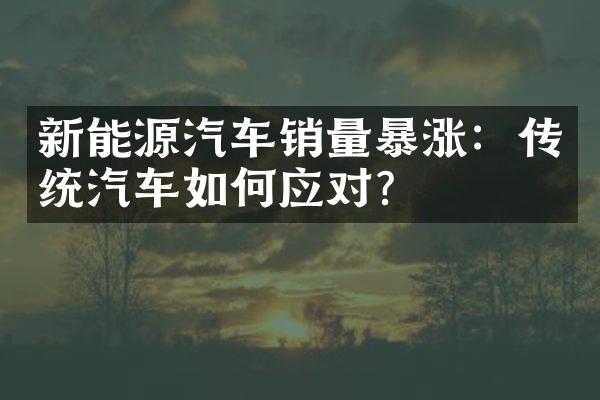 新能源汽车销量暴涨：传统汽车如何应对？