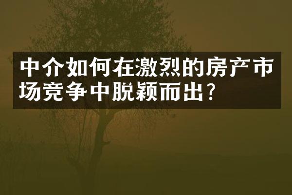 中介如何在激烈的房产市场竞争中脱颖而出？