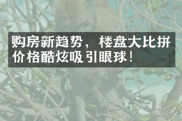 购房新趋势，楼盘大比拼价格酷炫吸引眼球！