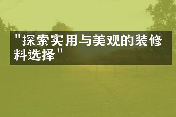 "探索实用与美观的装修材料选择"