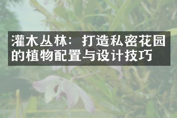 灌木丛林：打造私密花园的植物配置与设计技巧