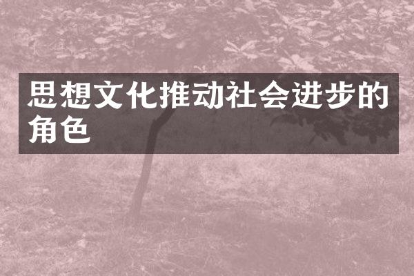 思想文化推动社会进步的角色