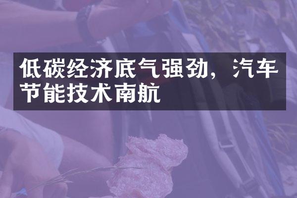 低碳经济底气强劲，汽车节能技术南航