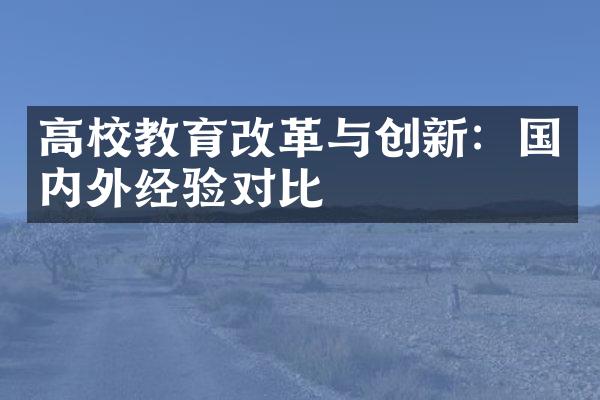 高校教育与创新：国内外经验对比