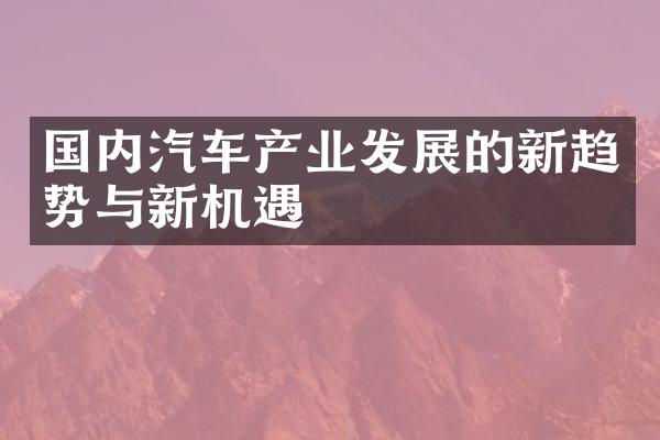 国内汽车产业发展的新趋势与新机遇