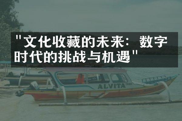 "文化收藏的未来：数字化时代的挑战与机遇"