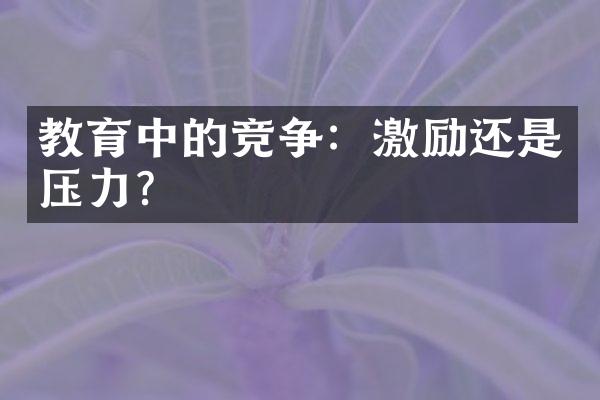 教育中的竞争：激励还是压力？