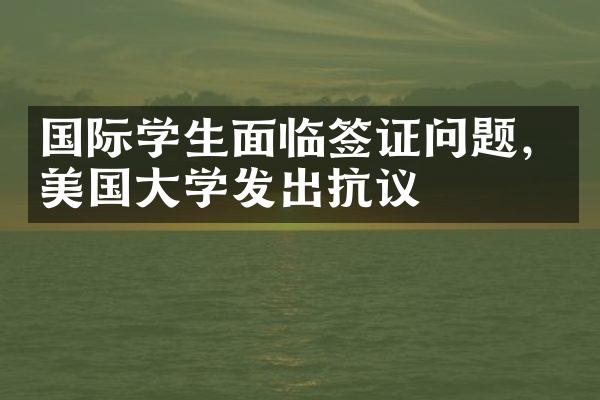 国际学生面临签证问题，美国大学发出抗议