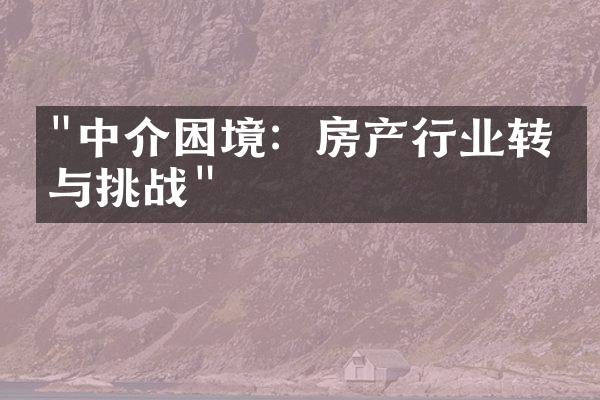 "中介困境：房产行业转型与挑战"