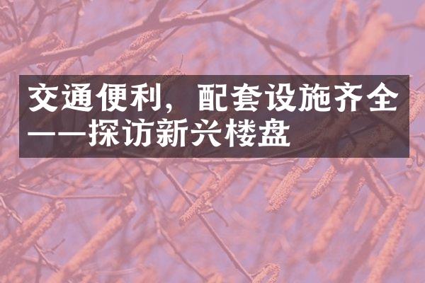 交通便利，配套设施齐全——探访新兴楼盘