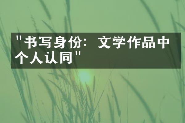 "书写身份：文学作品中的个人认同"