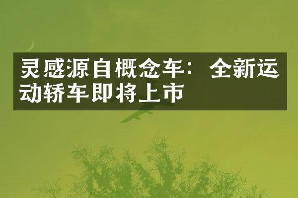 灵感源自概念车：全新运动轿车即将上市