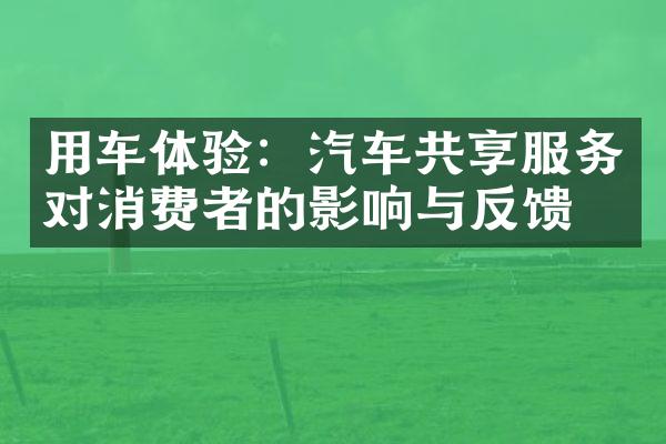 用车体验：汽车共享服务对消费者的影响与反馈