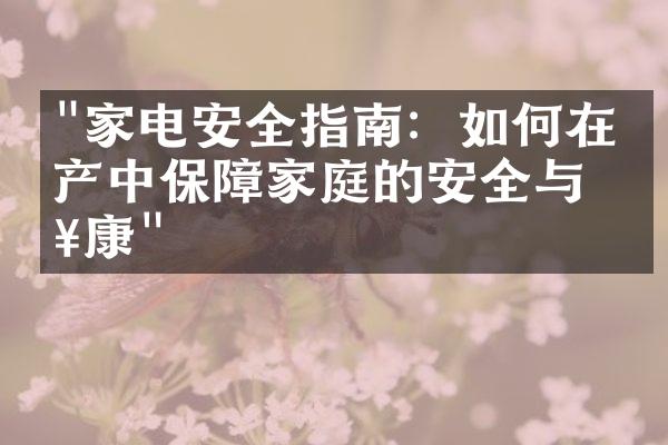 "家电安全指南：如何在房产中保障家庭的安全与健康"