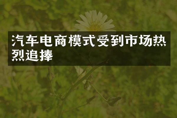 汽车电商模式受到市场热烈追捧