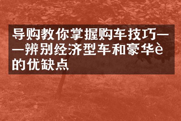 导购教你掌握购车技巧——辨别经济型车和豪华车的优缺点