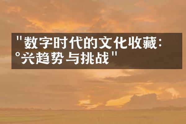 "数字时代的文化收藏：新兴趋势与挑战"