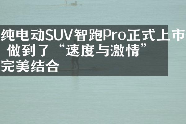 纯电动SUV智跑Pro正式上市 做到了“速度与激情”的完美结合