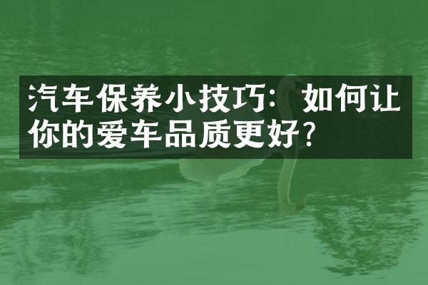 汽车保养小技巧：如何让你的爱车品质更好？