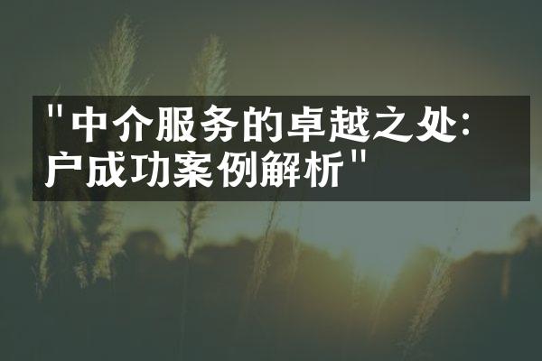 "中介服务的卓越之处：客户成功案例解析"