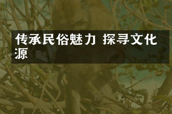 传承民俗魅力 探寻文化之源