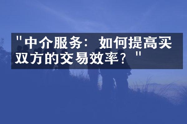 "中介服务：如何提高买卖双方的交易效率？"