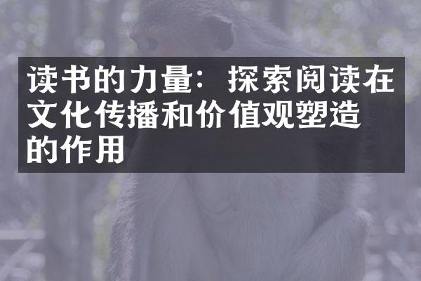 读书的力量：探索阅读在文化传播和价值观塑造中的作用