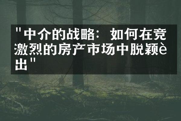 "中介的战略：如何在竞争激烈的房产市场中脱颖而出"