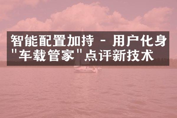 智能配置加持 - 用户化身"车载管家"点评新技术