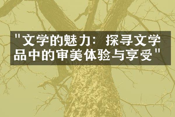 "文学的魅力：探寻文学作品中的审美体验与享受"