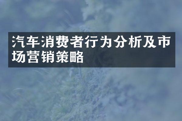 汽车消费者行为分析及市场营销策略