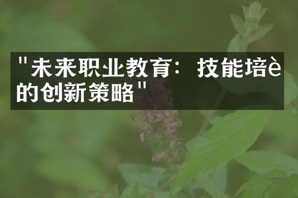 "未来职业教育：技能培训的创新策略"