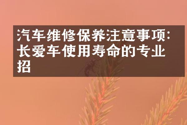 汽车维修保养注意事项:延长爱车使用寿命的专业妙招