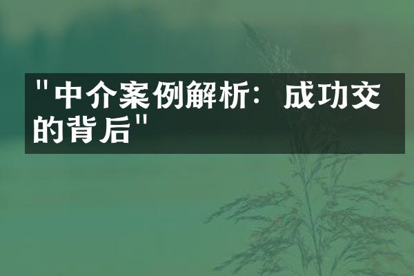 "中介案例解析：成功交易的背后"