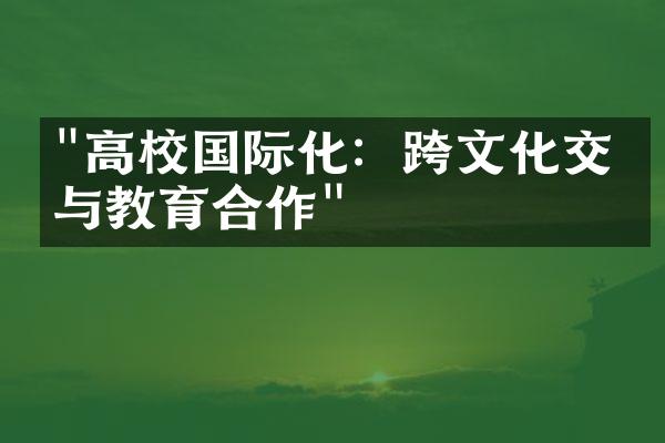 "高校国际化：跨文化交流与教育合作"