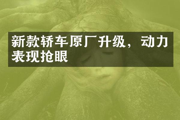 新款轿车原厂升级，动力表现抢眼