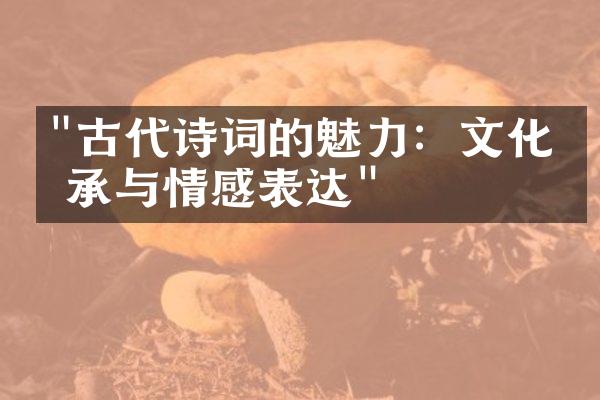 "古代诗词的魅力：文化传承与情感表达"