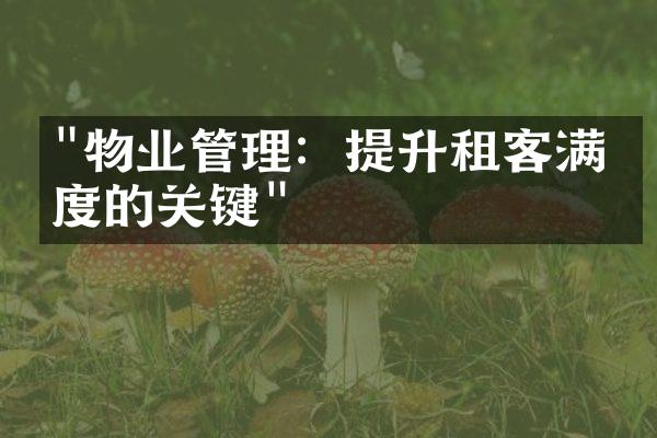 "物业管理：提升租客满意度的关键"