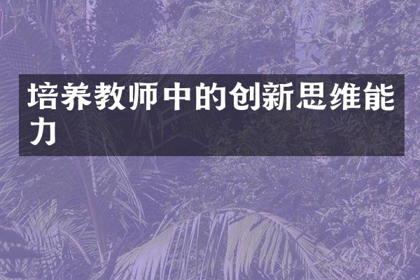 培养教师中的创新思维能力