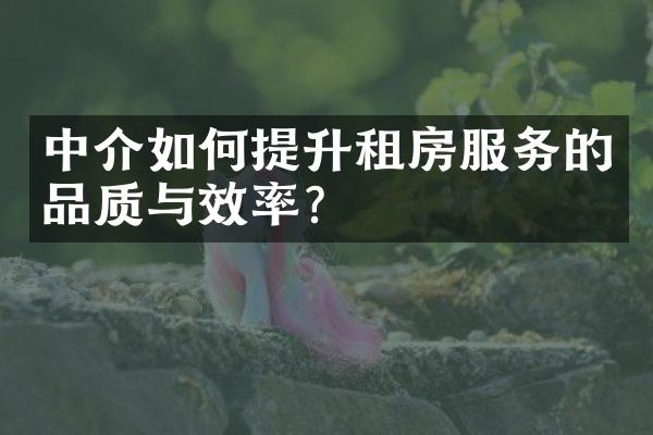 中介如何提升租房服务的品质与效率？