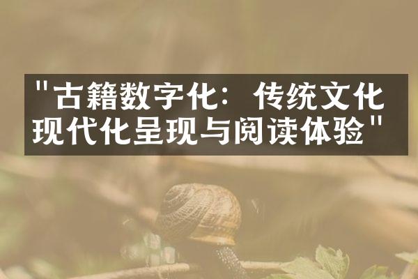 "古籍数字化：传统文化的现代化呈现与阅读体验"