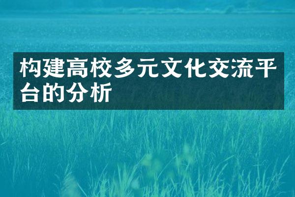 构建高校多元文化交流平台的分析