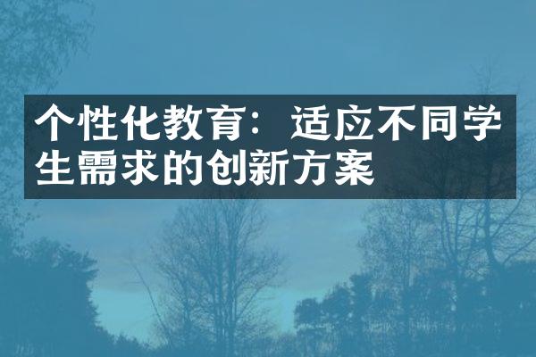 个性化教育：适应不同学生需求的创新方案