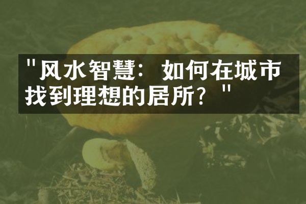 "风水智慧：如何在城市中找到理想的居所？"