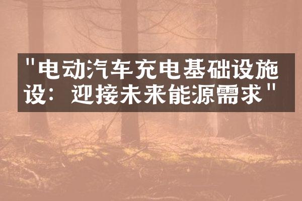 "电动汽车充电基础设施建设：迎接未来能源需求"