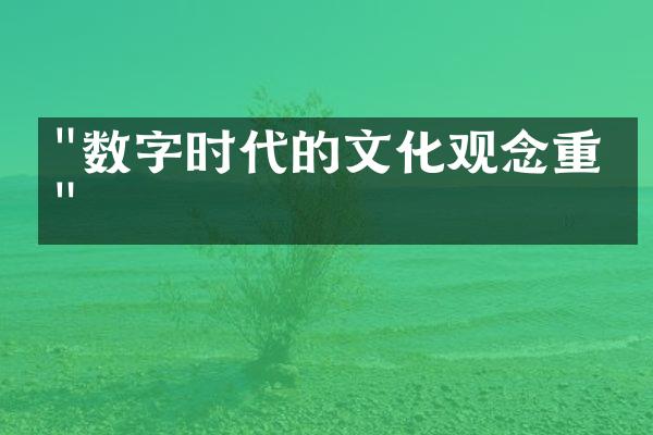 "数字时代的文化观念重构"