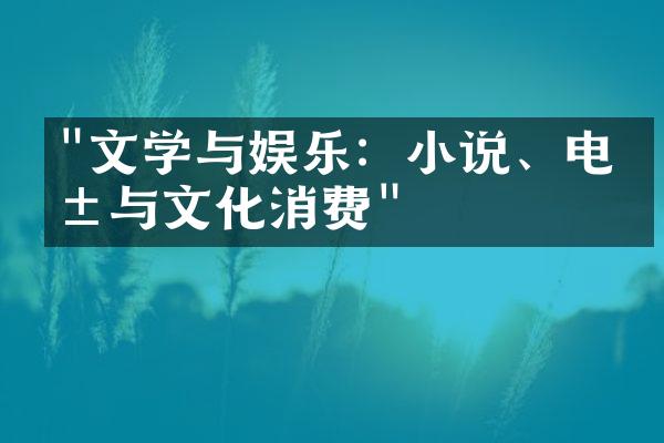 "文学与娱乐：小说、电影与文化消费"