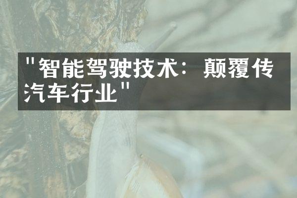 "智能驾驶技术：颠覆传统汽车行业"